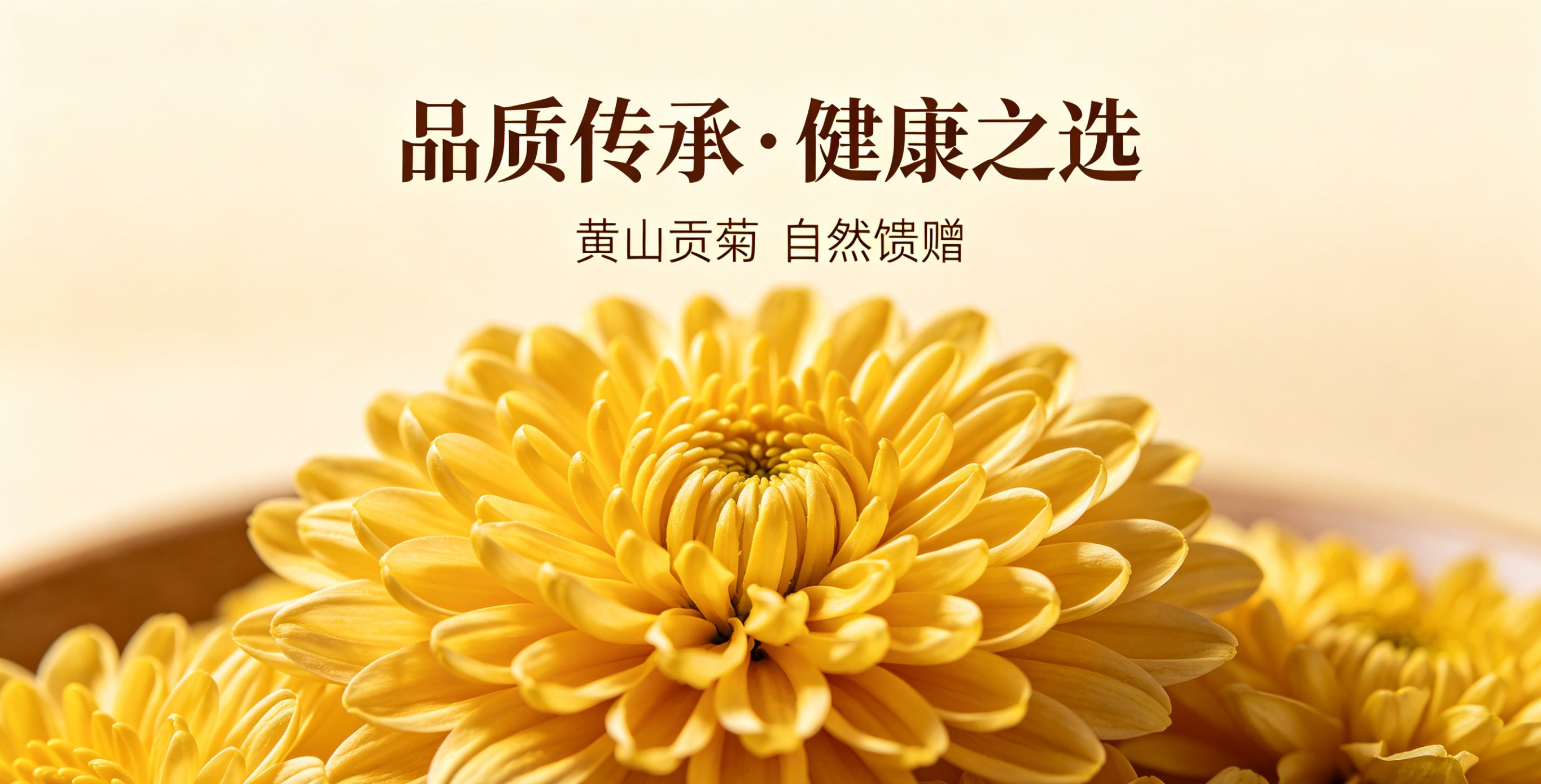黄山贡菊（黄山徽药饮片有限公司）