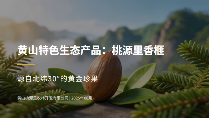 香榧（黄山桃源里农林开发有限公司）